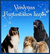 Niūfaundlendų ir kolių veislynas Niūfaundlendų ir kolių veislynas